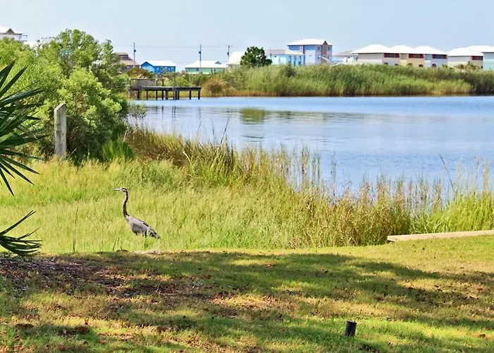 Compass Point 308 By Youngs Suncoast Apartment